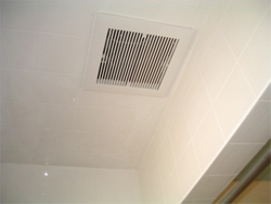 Ceiling Ventilation Fans